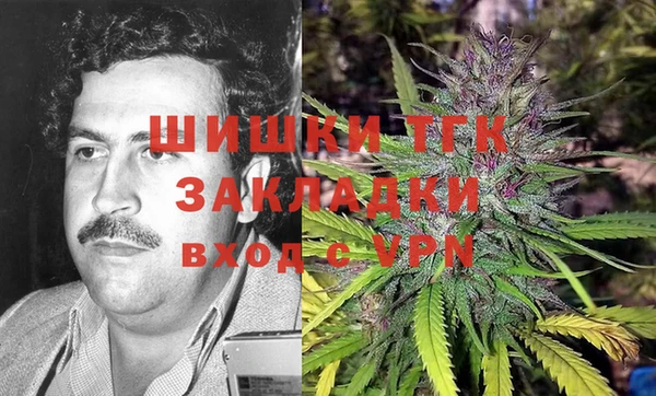 МДПВ Нея